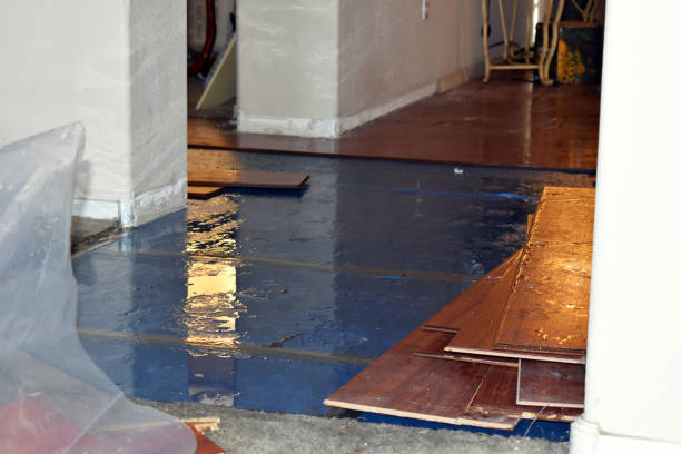 Professional Burst Pipe Cleanup technician working in Ravenna, TX